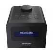 Sharp DR-430 Personal Digital Black