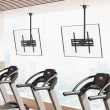 Maclean Ceiling Mount for TV, max. load 50 kg, 37 75