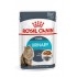 ROYAL CANIN Urinary Care in Gravy 12x85g