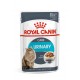 ROYAL CANIN Urinary Care in Gravy 12x85g