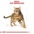 Royal Canin Bengal Adult cats dry food 2 kg Poultry, Vegetable