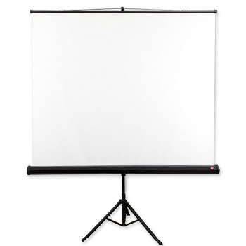 Avtek Tripod Standard 200 projection screen 1:1