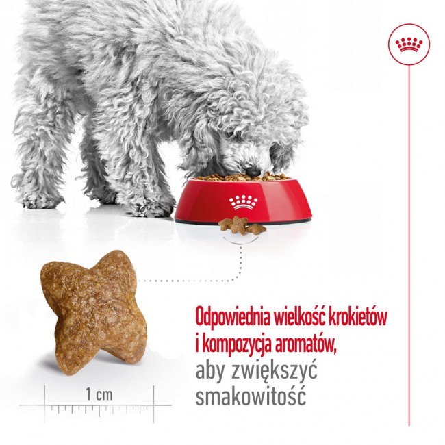 ROYAL CANIN Adult Mini S - dry dog food - 4kg ROYAL CANIN Adult Mini S - dry dog food - 4kg