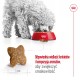 ROYAL CANIN Adult Mini S - dry dog food - 4kg ROYAL CANIN Adult Mini S - dry dog food - 4kg