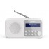 Sharp DR-P420 Portable Digital White