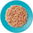 APPLAWS Tuna fillet in broth - wet cat food - 156g