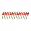 DeWALT DCN8903027 nails 1005 pc(s) Cap nail