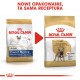 ROYAL CANIN French Bulldog Adult - dry dog food - 3 kg