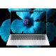 HP Elitebook X G1i Ultra 7 268V 14.0 HP Elitebook X G1i Ultra 7 268V 14.0