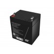Green Cell AGM45 UPS battery Sealed Lead Acid (VRLA) 12 V 5,3 Ah