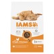 IAMS Advanced Nutrition Adult - dry cat food - 10 kg IAMS Advanced Nutrition Adult - dry cat food - 10 kg
