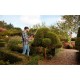 Black & Decker BEHTS401-QS power hedge trimmer Black & Decker BEHTS401-QS power hedge trimmer