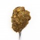 3COTY Turkey with spirulina - wet cat food - 80g