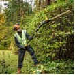 18V XR Pole Shears 55, Boom up to 3.35m, Cardboard