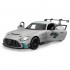 TOY RC CAR MERCEDES AMG GT2 10230