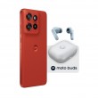 Motorola edge 60 neo + Moto Buds PG38C05749 16.1 cm (6.36
