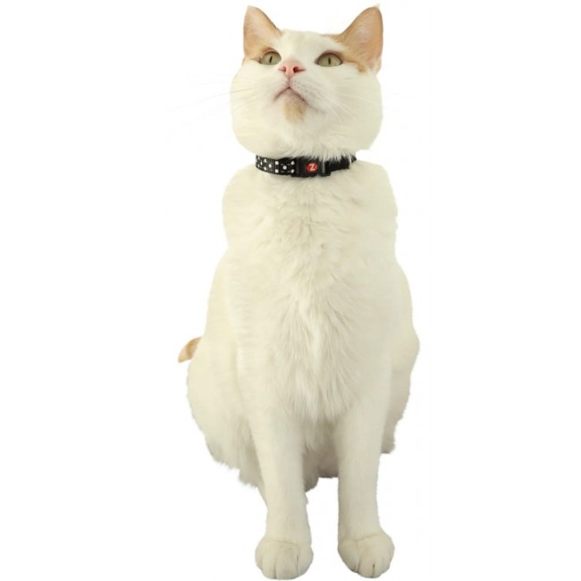 ZOLUX Chatouille black - cat collar