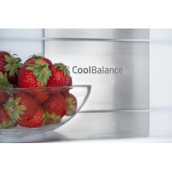 Amica BK3055.6 NFM(E) Total No Frost built-in fridge, white, 244 l