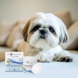 JM SANTE Vet Protector Eyes Clean eye wipes 50pcs