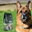 ADDVENA Taste Sensations Adult Medium/Large Turkey - dry dog food - 2,5kg