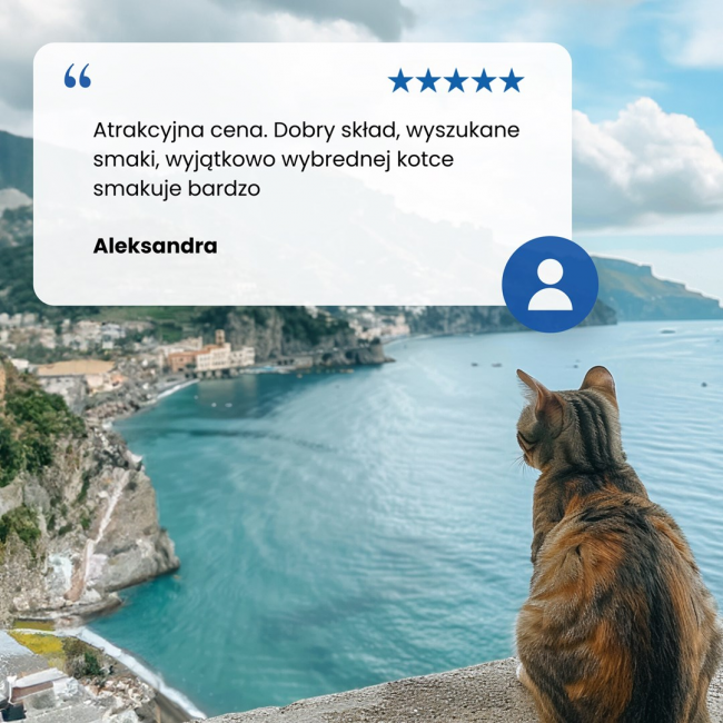 FARMINA N&D Ocean Cat Cod, Shrimp, Pumpkin and Cantaloupe Melon Kitten - dry cat food - 1.5 kg