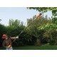 Chain saw for branches 800W BLACK + DECKER PS7525