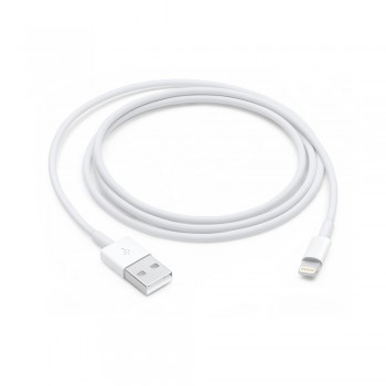 Apple Lightning to USB Cable (1 m)