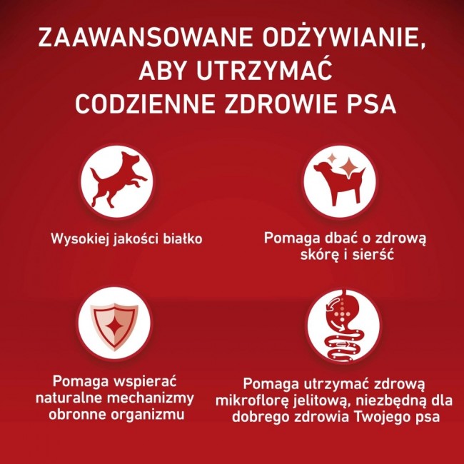 PURINA One Adult Medium/Maxi Rich in beef with rice - dry dog food - 12kg