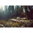 Chainsaw 50 cm, 54 V DCMCS575X1 DEWALT Chainsaw 50 cm, 54 V DCMCS575X1 DEWALT