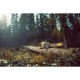 Chainsaw 50 cm, 54 V DCMCS575X1 DEWALT
