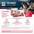 VETEXPERT Raw Paleo Vital Pro Arthro Beef Medium Large Mono - dog treat - 100g