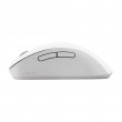 ASUS Wireless MD102 mouse Universal Right-hand RF Wireless + Bluetooth Optical 1600 DPI