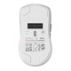 Glorious Gaming Glorious Series 2 PRO 4K/8K Hz Wireless Mouse - White Glorious Gaming Glorious Series 2 PRO 4K/8K Hz Wireless Mouse - White