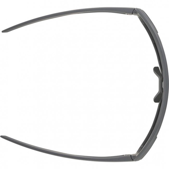 Alpina Bonifire Sunglasses cat. 3 Grey Alpina Bonifire Sunglasses cat. 3 Grey