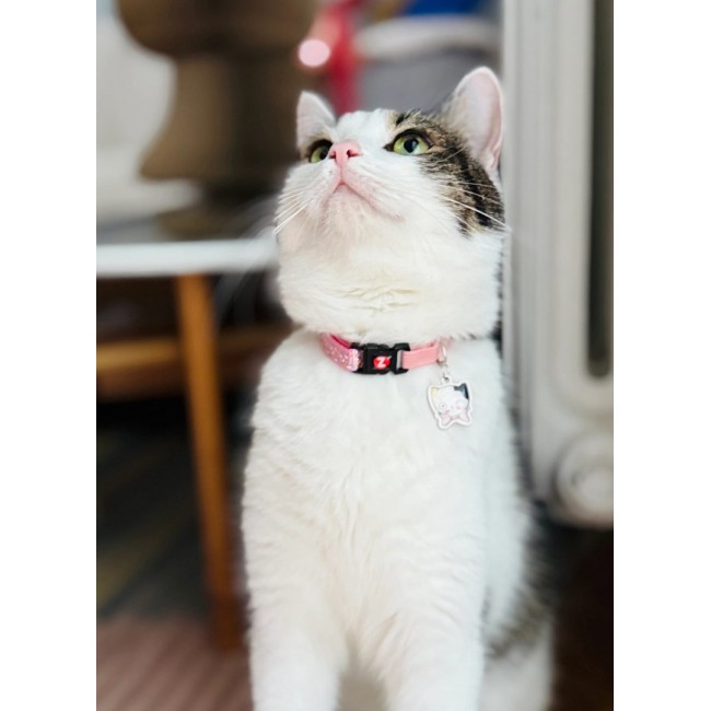 ZOLUX Chatouille pink - cat collar