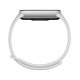 Smartwatch Xiaomi SmartBand 10 Silver AMOLED BT