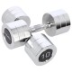 Chrome dumbbells 2x10 kg HMS CHD10 Chrome dumbbells 2x10 kg HMS CHD10
