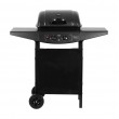 2-burners gas barbecue Teesa BBQ 2000 2-burners gas barbecue Teesa BBQ 2000