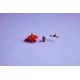 LEGO NINJAGO 71823 Kai's Dragon Spinjitzu Spinner LEGO NINJAGO 71823 Kai's Dragon Spinjitzu Spinner