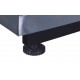 PLATFORM SCALE WT-065 60KG