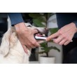 VIRBAC C.E.T. - enzymatic toothpaste for dogs and cats - 70 g