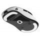 Endgame Gear XM2we mouse Gaming Right-hand RF Wireless + USB Type-C Optical 19000 DPI