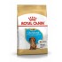 Food Royal Canin SHN Breed Dachshund Jun 1.5 kg