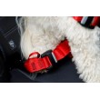 ZOLUX Travel Safe S red - dog harness