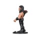 MINIX WWE - ROMAN REIGNS MINIX WWE - ROMAN REIGNS