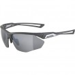 Alpina Nylos HR Sunglasses cat. 3 Grey