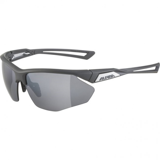 Alpina Nylos HR Sunglasses cat. 3 Grey Alpina Nylos HR Sunglasses cat. 3 Grey