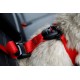 ZOLUX Travel Safe S red - dog harness