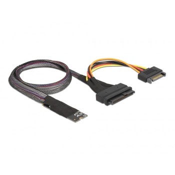 DeLOCK M.2 Key M to U.2 SFF-8639 NVMe Adapter with 50 cm cable