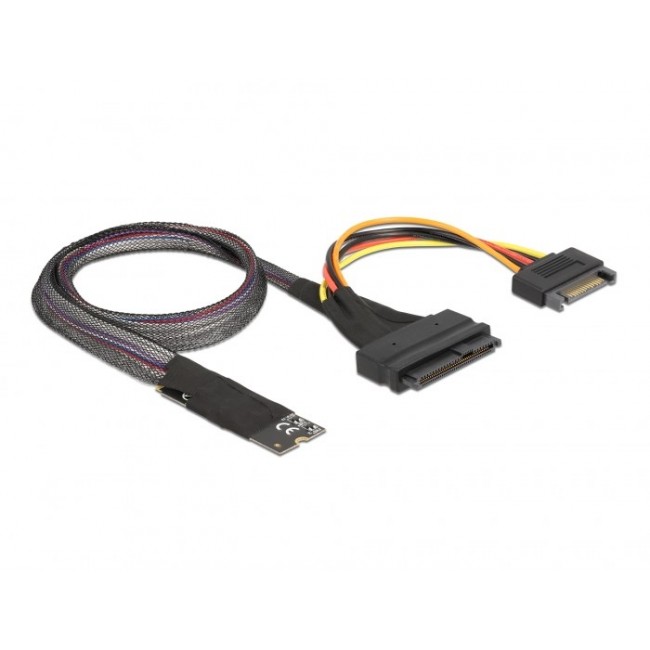 DeLOCK M.2 Key M to U.2 SFF-8639 NVMe Adapter with 50 cm cable
